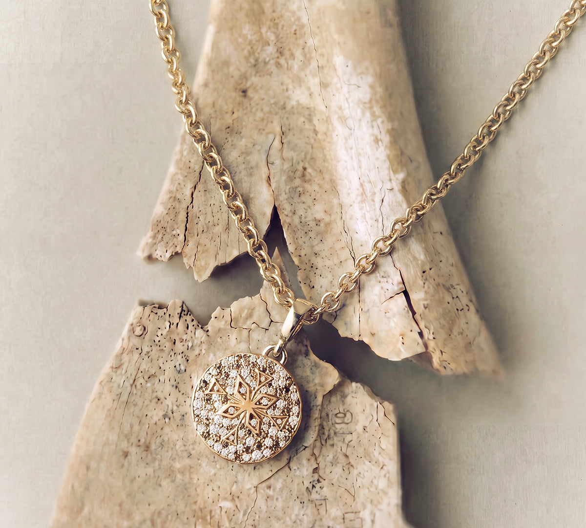 Compass Pave Medium Coin with White, Champagne & Brown Diamonds