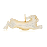 Leaping Bunny