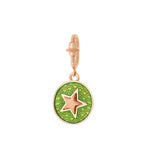 Charm Kiwi Star