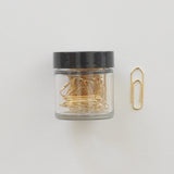 Gold Paper Clips