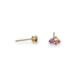 Rainbow Post Earrings
