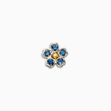 Forget Me Not