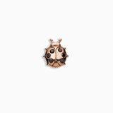 Ladybird - Luck